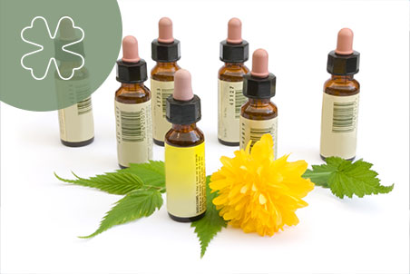 Marienapotheke Obergrafendorf - Bachblüten