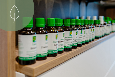Nahaufnahme einer Regalreihe mit braunen Glasfläschchen, die grüne Schraubverschlüsse und weiße Etiketten mit grüner Schrift tragen. Es handelt sich um pflanzliche Arzneimittel der Marke Phytopharma.